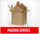 PACKING SERVICE INTERNATIONAL