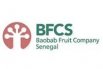 Baobab fruit company Sénégal