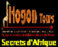 Ajouter un logo