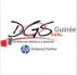 DGS GUINEE Sarl