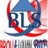 Ets Brou & Louan services(BLS)